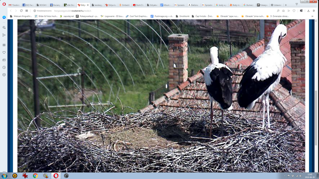 2019-06-30 15_45_00-Greenshot