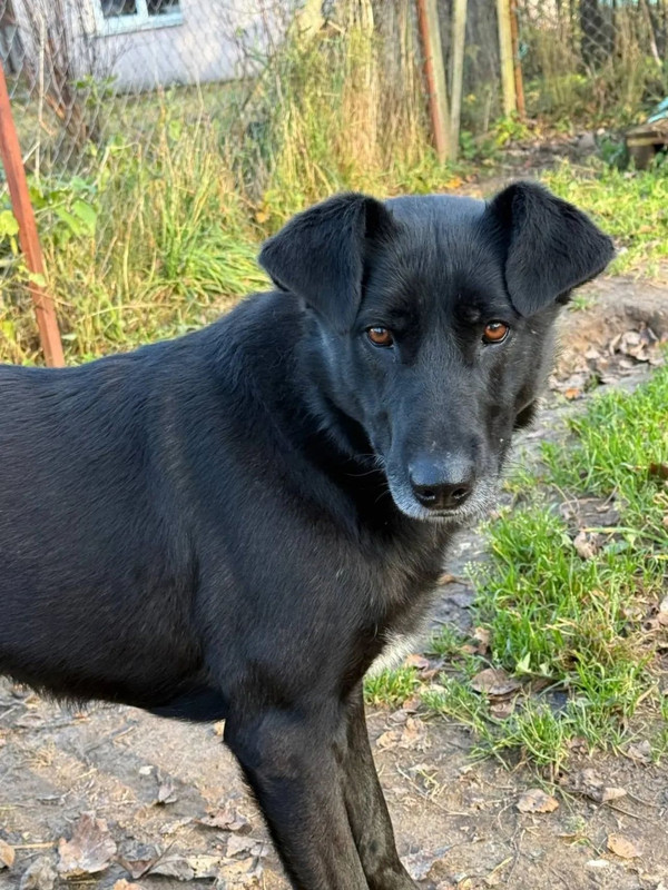 c JJx0an Rr Rz6sl Ff Rjtdua Pb Nqgjk Tl LVRKau8oe BIPw3VJt BW9PKin Sbop OZYQ65yxvu DQssfa4EIp2f D463