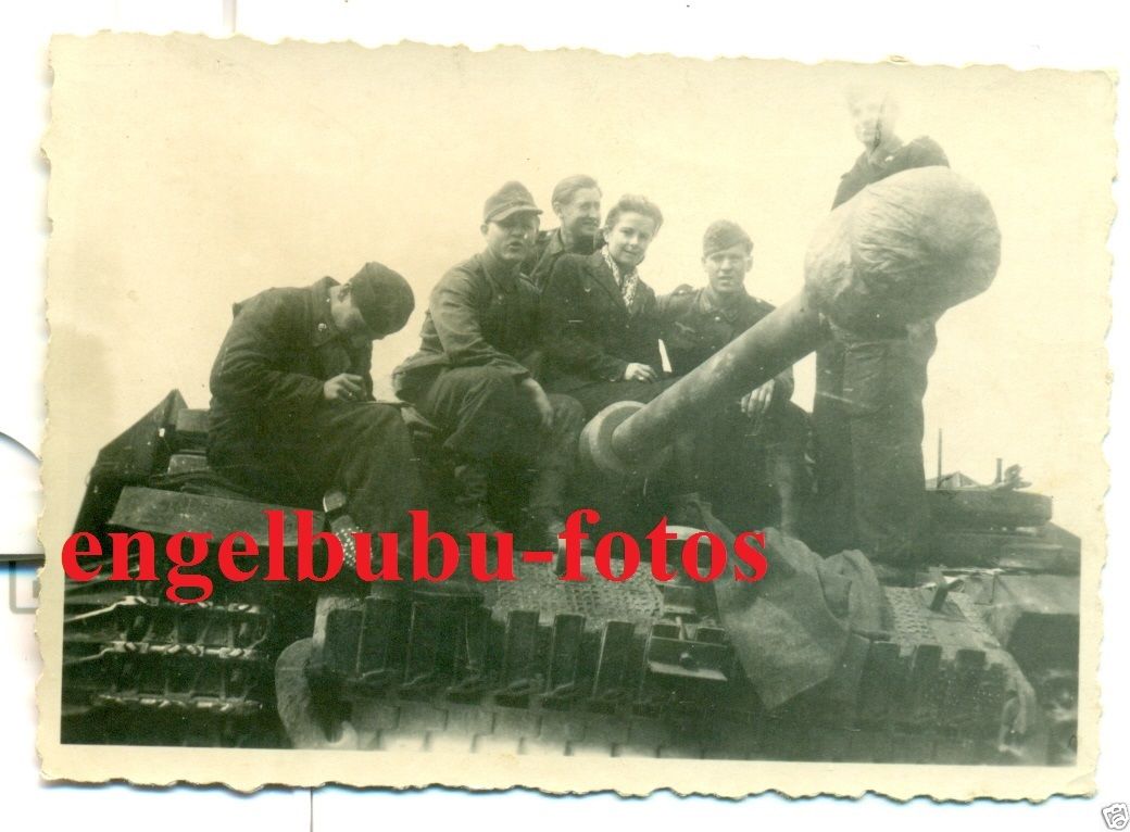 PANZER - STURMGESCHÜTZ - LANGROHR - Selt. TARNUN