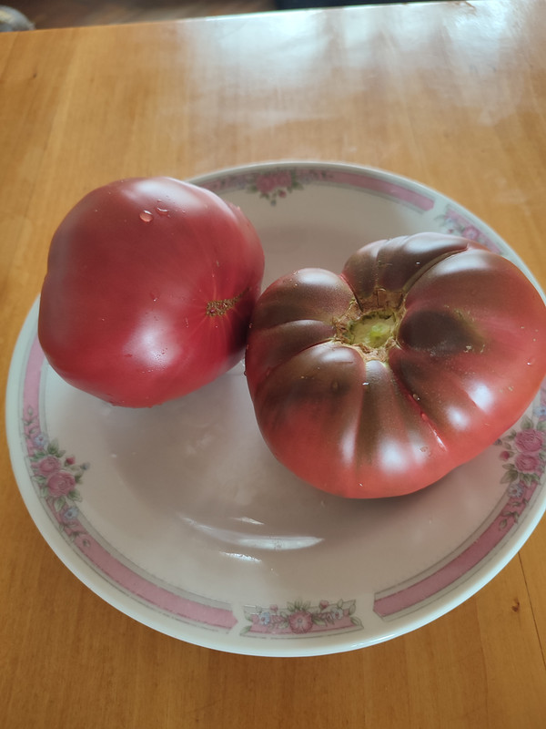 [Слика: IMG-20220813-103133.jpg]