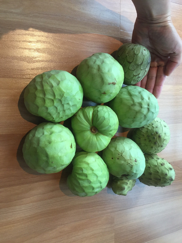 7ACC71A8-F793-4D03-A9FC-FE50EA46FB09