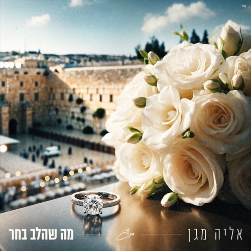 תמונה