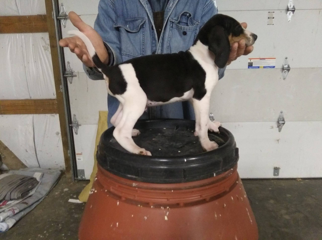 FAB79656-3800-4B2F-B7ED-C273D204C0D5