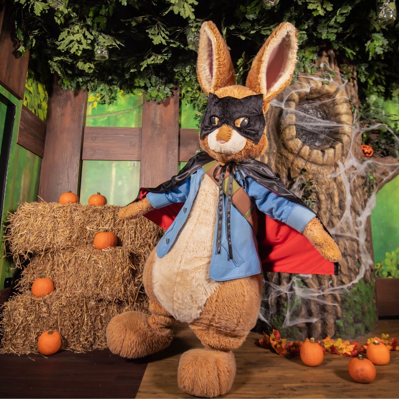 Peter-Rabbit-Explore-and-Play-Blackpool-2