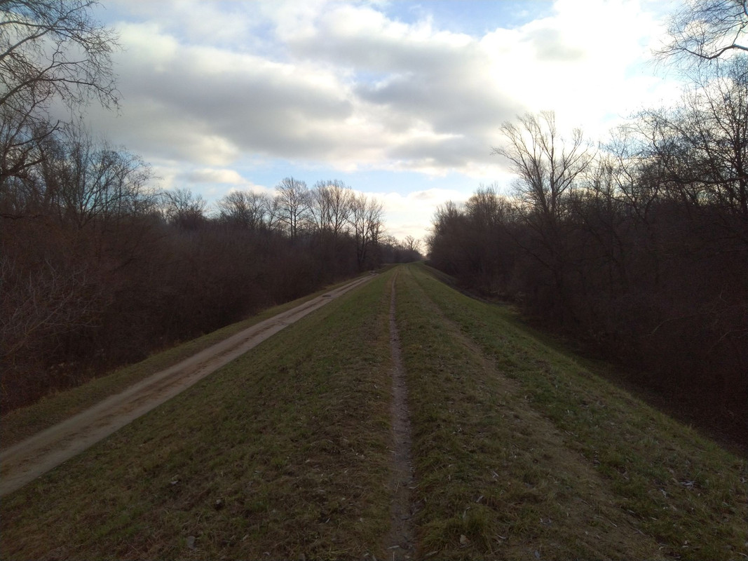 IMG_20211203_115349.jpg