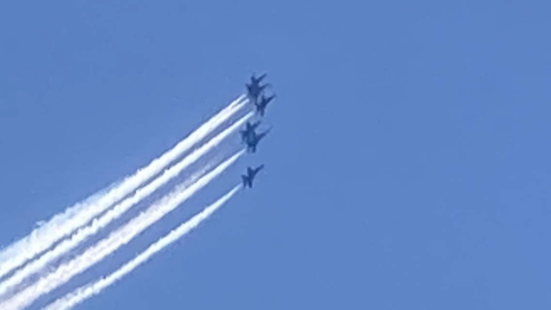 447AB505-A3F6-43EB-9CCE-8614D8DE0964