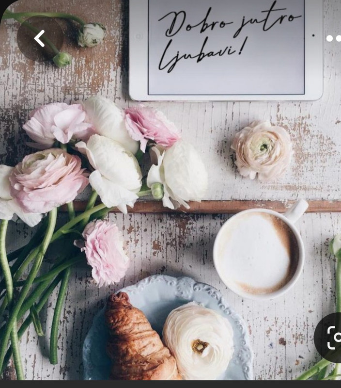 Screenshot_20230330_233734_Pinterest