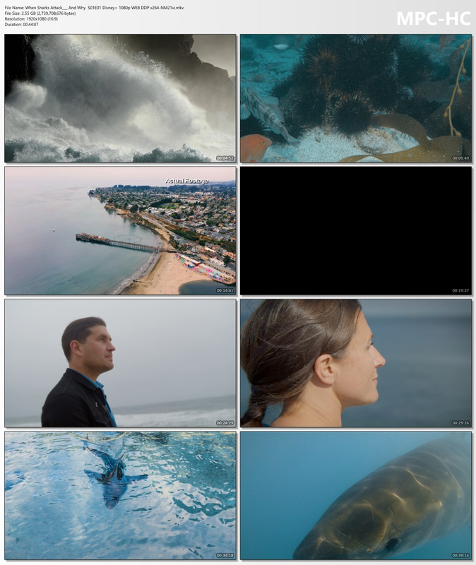 When Sharks Attack___ And Why  S01E01 Disney  1080p WEB DDP x264-NM21vi.mkv_thumbs