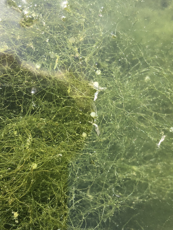 5A562C74-F182-4BC0-A418-9BB004B5C103