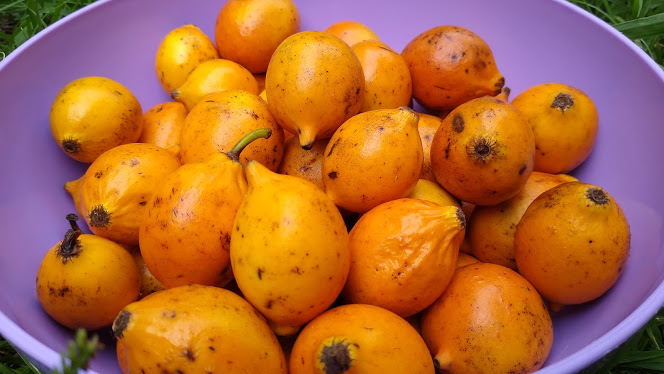 IMG 20210208 164844753