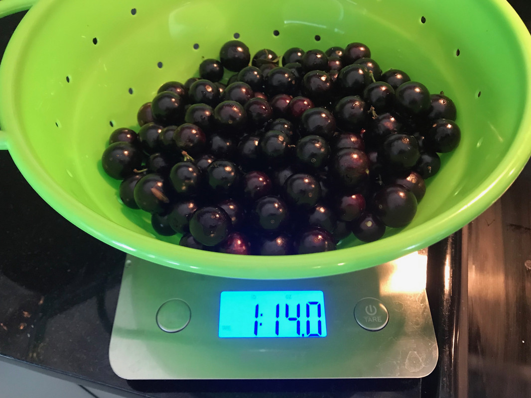 jabo fruit scale 4 2019