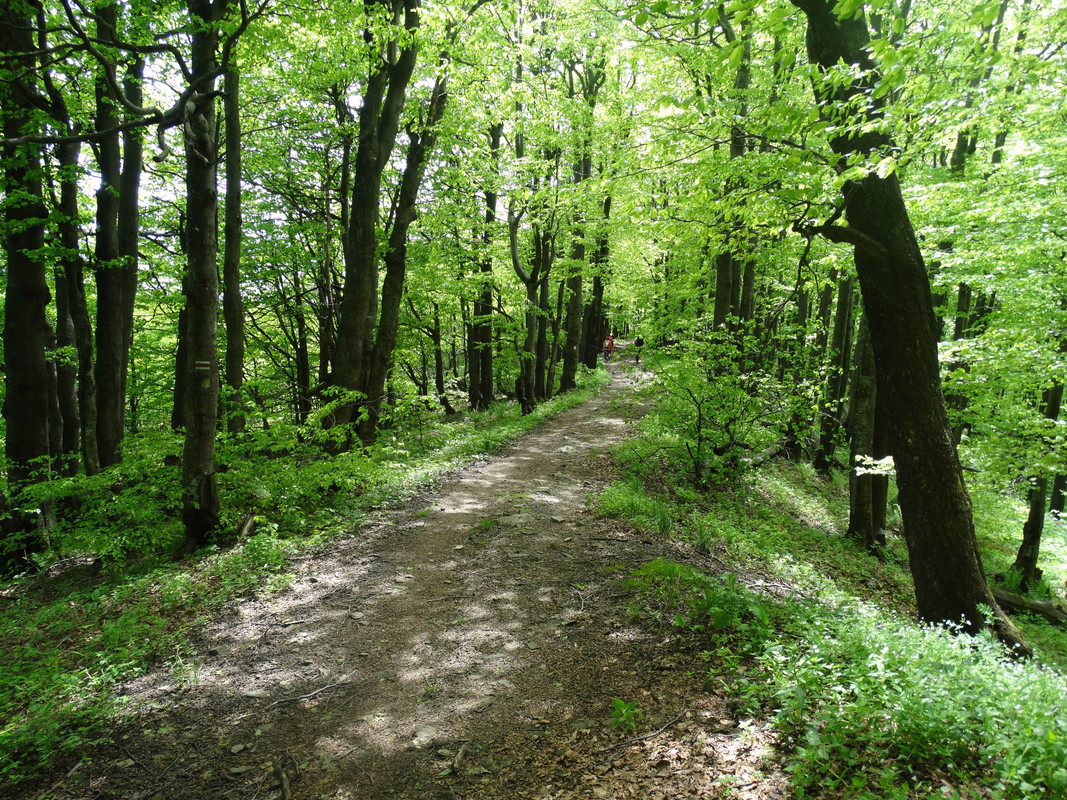 020 - DSC00746 (Hanka)