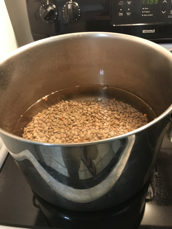 beans4