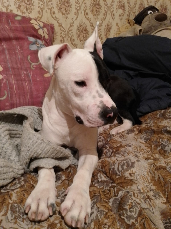 A2775030-83F0-4E9B-887A-B686C8DA9EDC