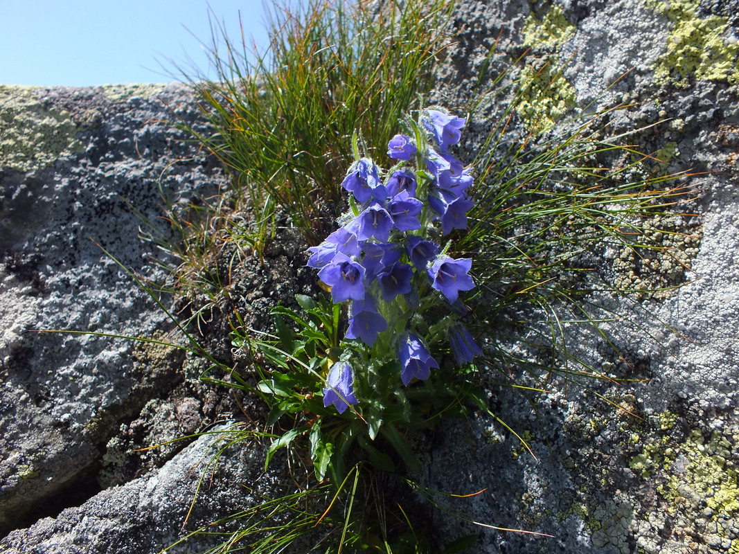 2019_0630DUMBIER0124