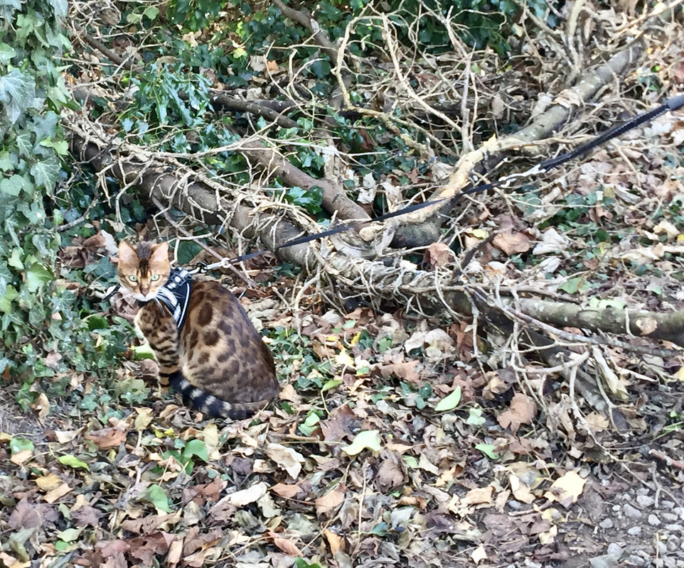 A07FC5EF-665C-4F0A-AFCB-B03DB1851E54