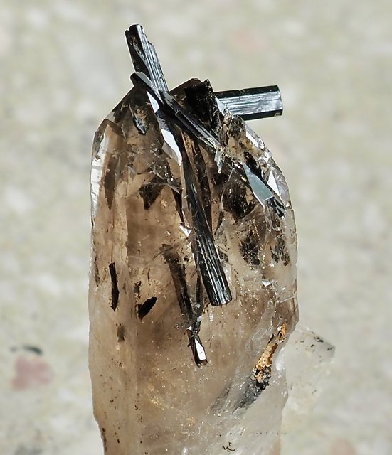 P6200487-2.jpg