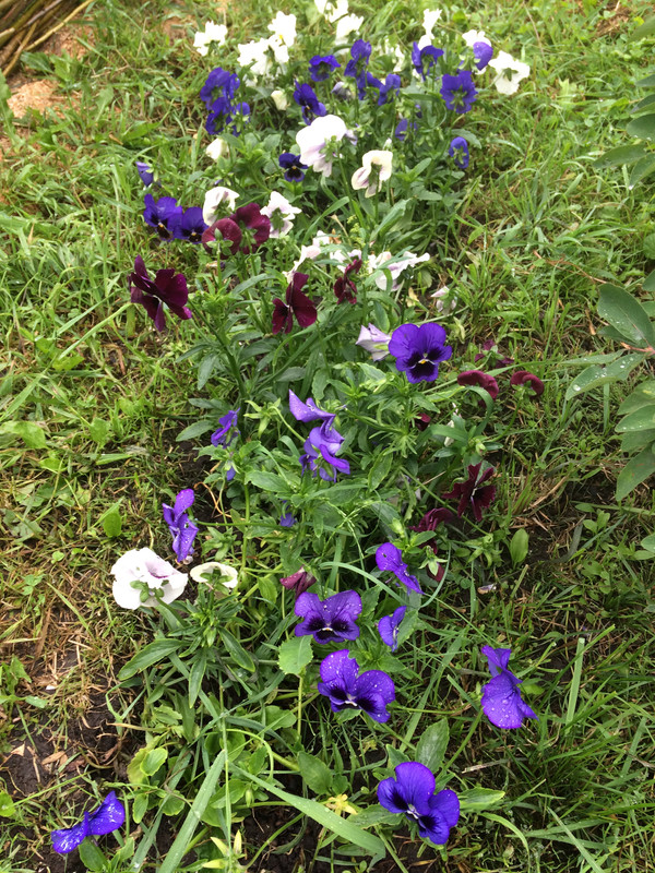 69C25EE0-CCB7-4AC4-A33D-F8BA780685ED