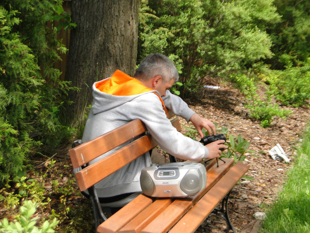 08 - DSC03879 (Mysikrólik)