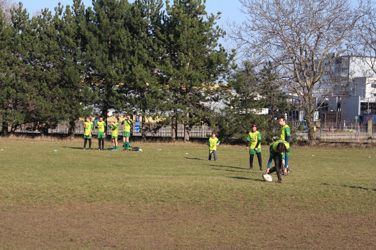 IMG-5347