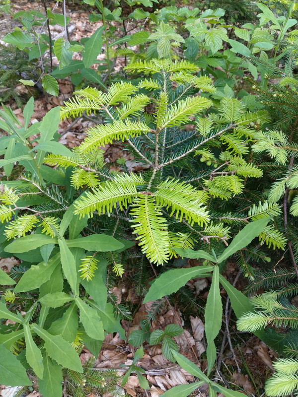 E4F1224E-62B9-4496-AC7F-152638FD0835