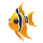 Angelfish