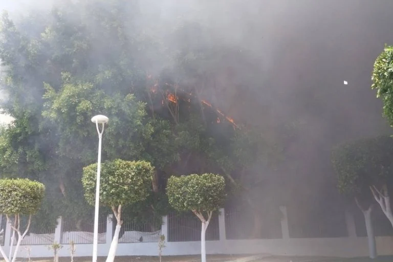 nador-incendie-piscine-768x512