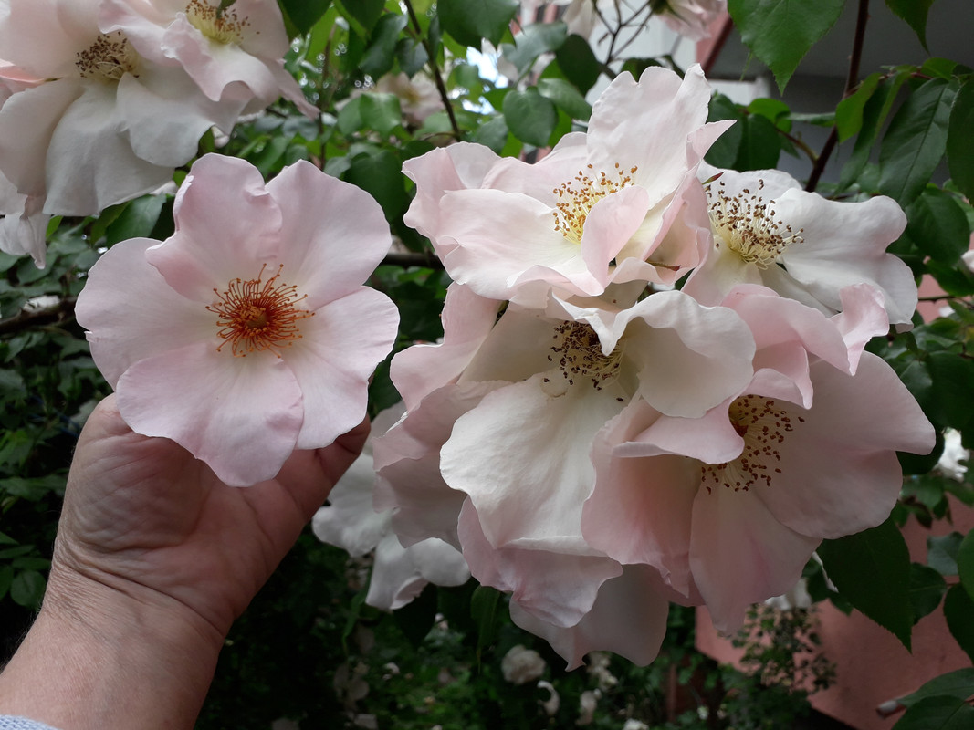 20190530_155513