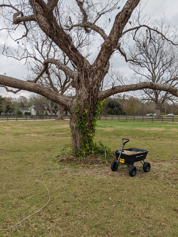 8319B2A1-E6AA-4409-B734-FF871399283F