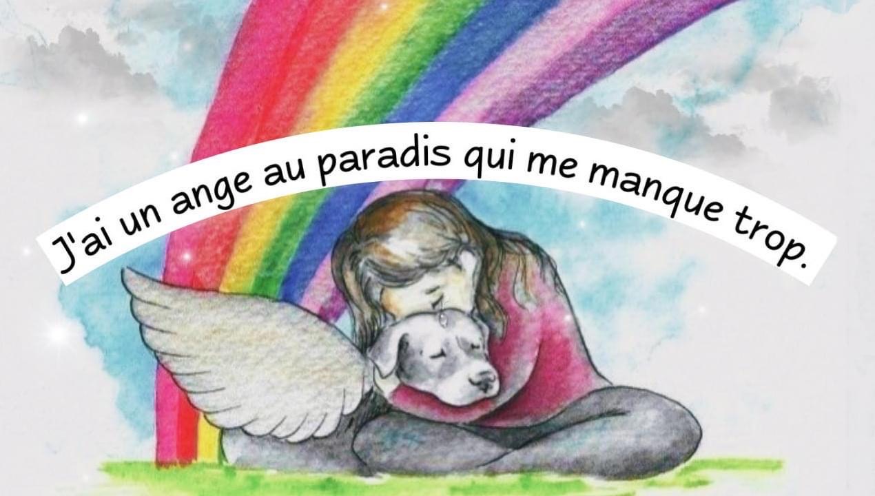 09063674-1A20-43C2-99C2-E1A2C962BFD7