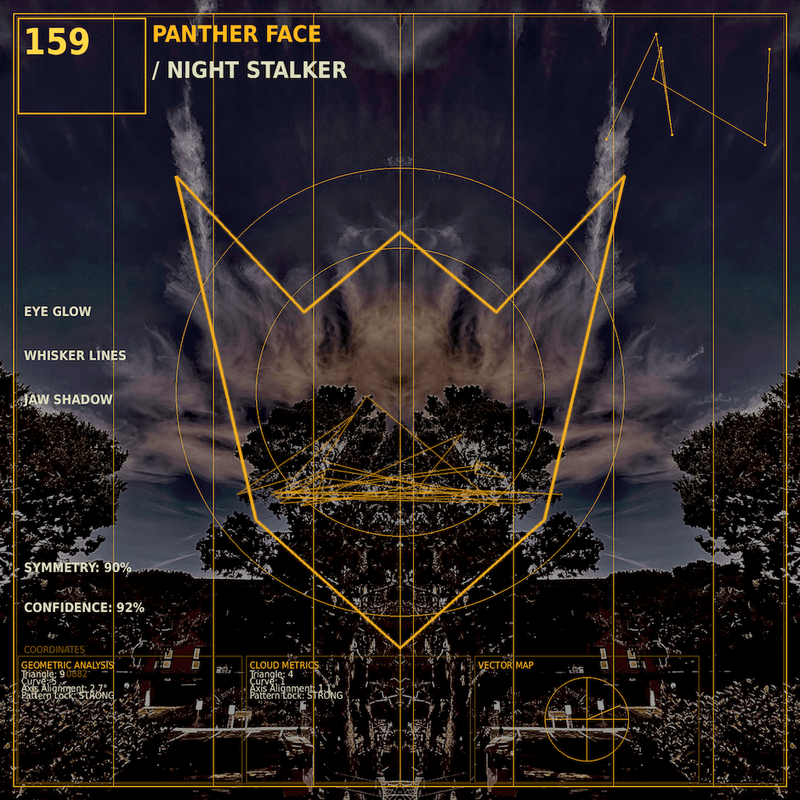 Panther face