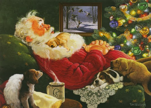tom-newsom-sleep
