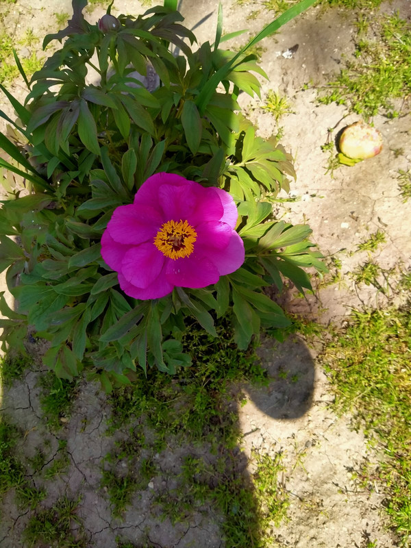 IMG20210425125737