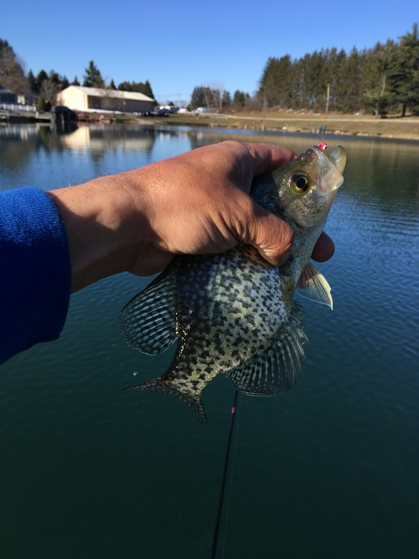 148B5B07-AE3C-40AE-94CE-3A5379CDD97F