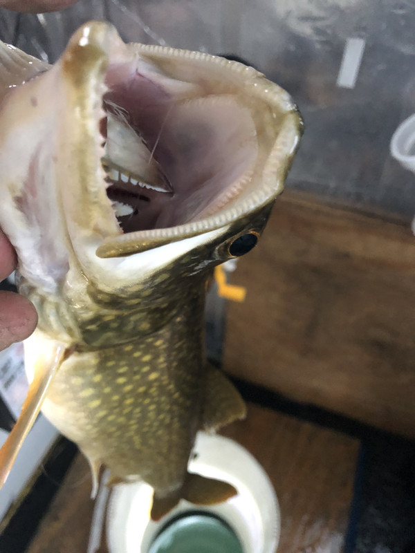 355C9678-C8BE-43EC-9E40-716814F44F69