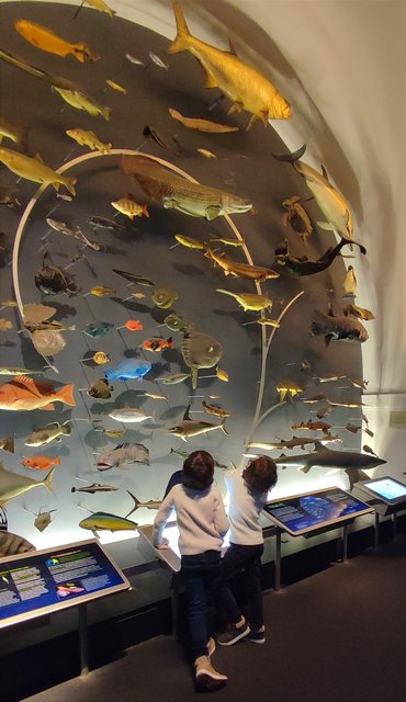 Vista icónica en Dumbo, bicis Central Park, Museo Historia y Little Italy - Nueva York y Cataratas del Niágara 2023 (30)