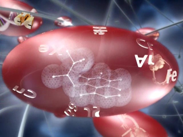 Самый умный кадет (21.08.2011) 1