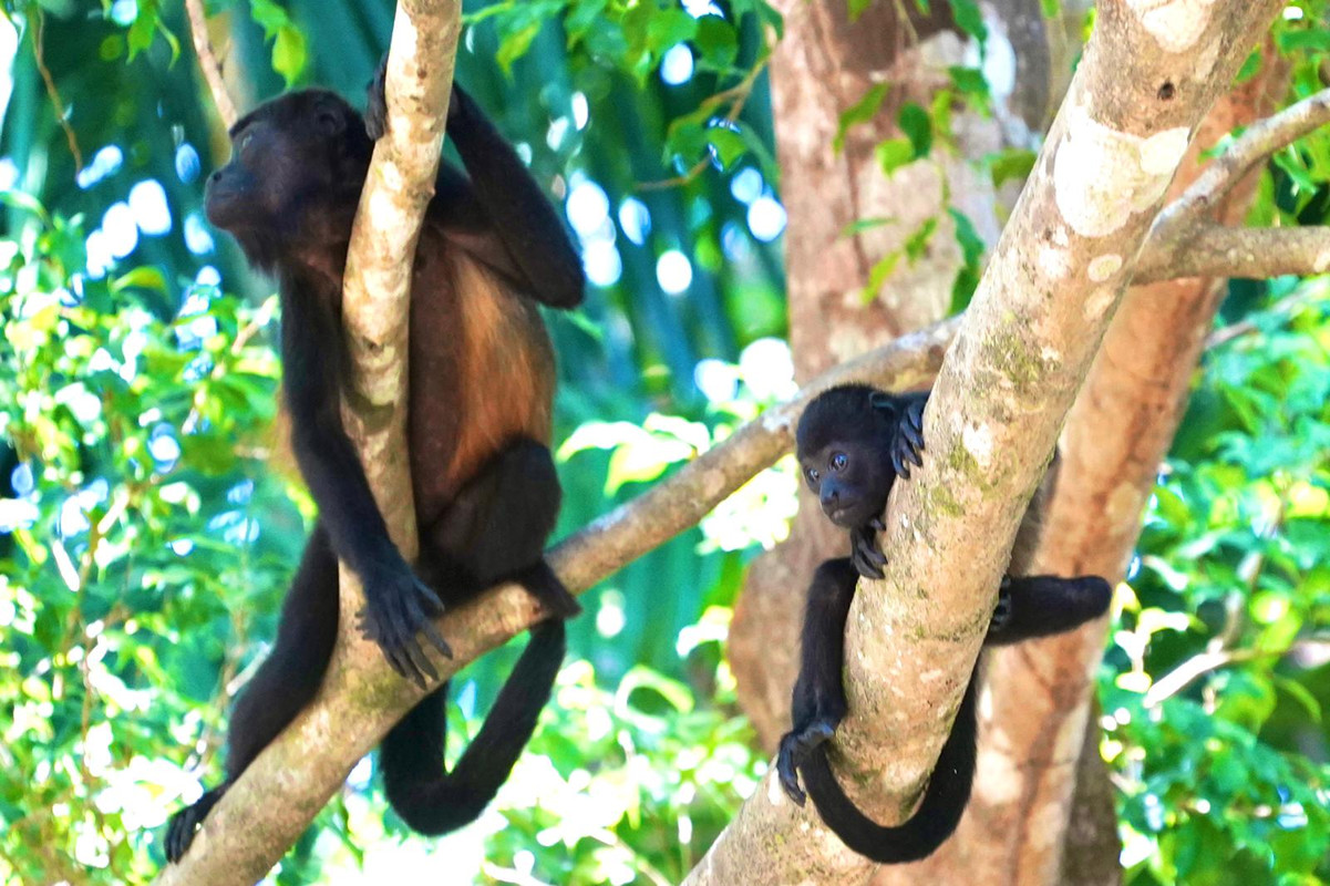 1F896301-2B9B-4E30-97B7-F5870938516D