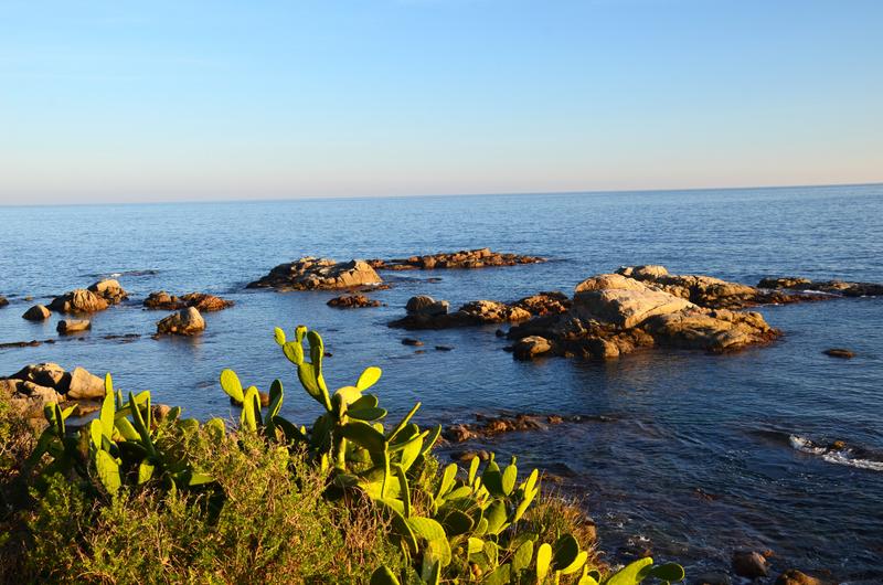 CALELLA DE PALAFRUGELL-21-11-2017 - Gerona y sus pueblos-2016/2017 (37)