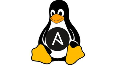 5795bcc6 f0b3 4705 9224 24d3bca7609d - Ansible from Beginner to Advanced in No Time! Practical 2018