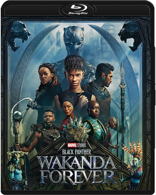 Czarna Pantera: Wakanda w moim sercu / Black Panther: Wakanda Forever (2022) MULTi.REMUX.1080p.BluRay.AVC.DTS-HD.MA7.1-DENDA / DUBBING i NAPISY PL