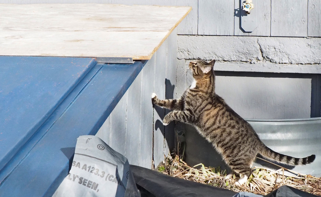 202602282026022820260228 469