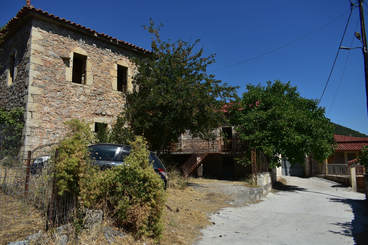 Καρυά (15)