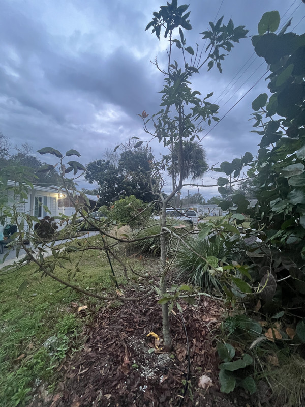 FD2C3715-591C-4BB4-AC31-1D2612F910D9