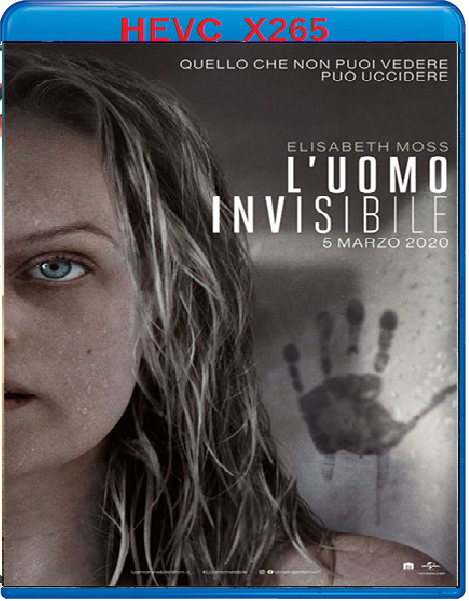 L'Uomo Invisibile (2020) mkv FullHD 1080p HEVC AC3 ITA ENG Sub