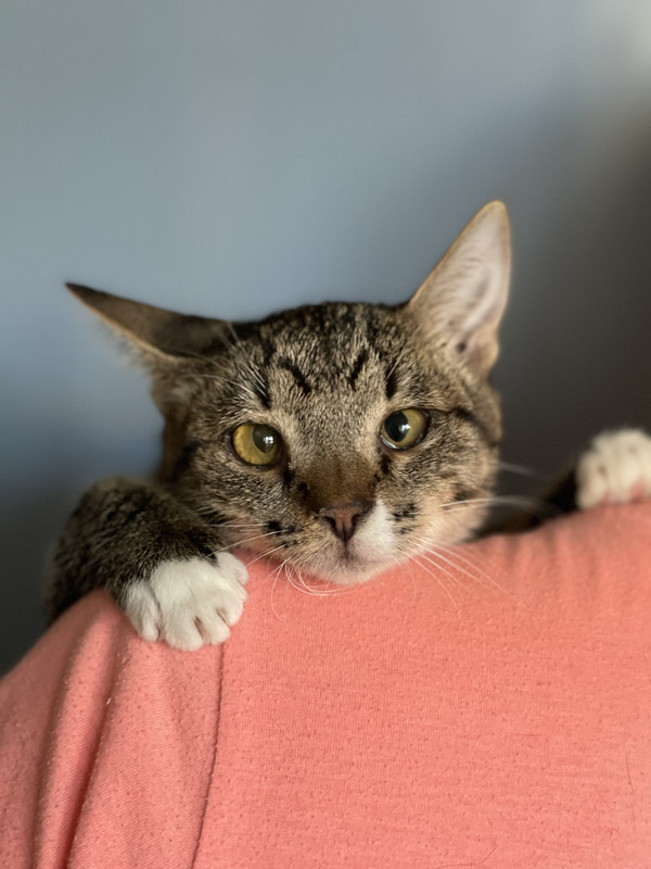 8EA02BFB-33AC-46AE-96C2-FFD106BB7B31