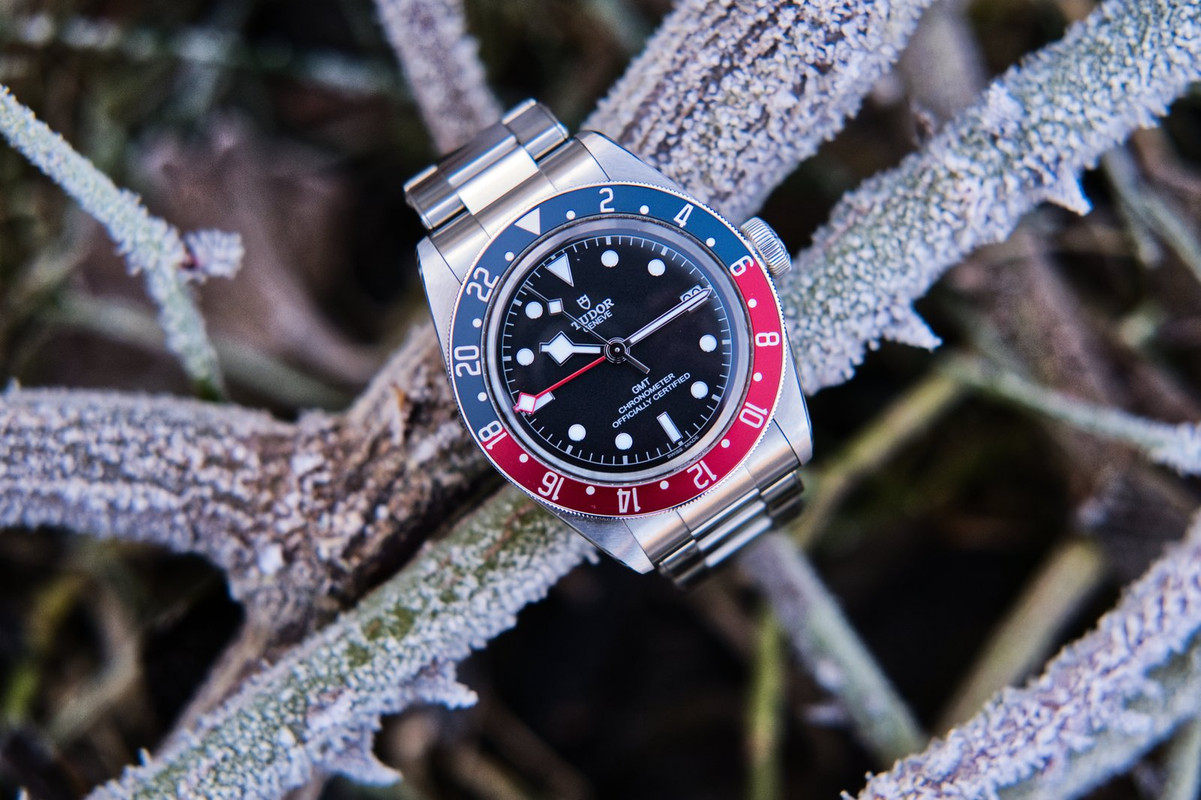 Feu de vos Dual Time - GMT - Worldtimer - tome II - Page 18 XT031219-7
