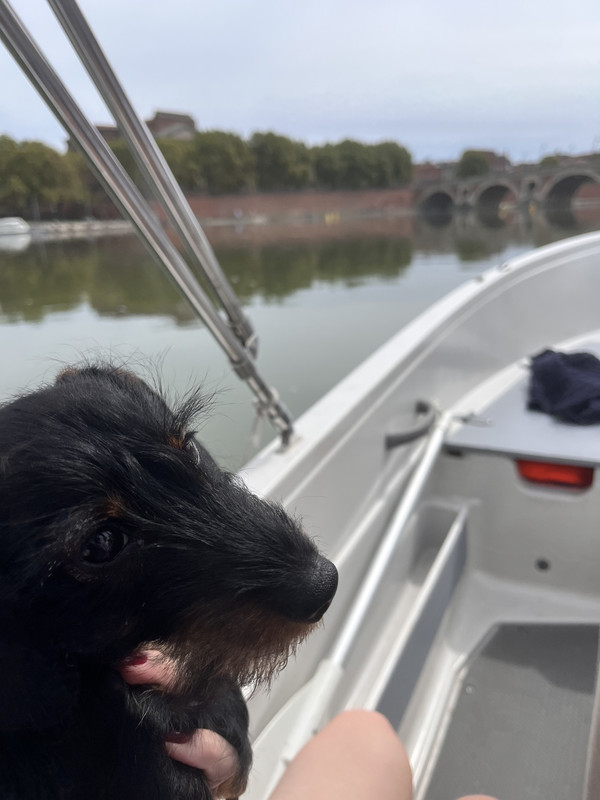 [Image: IMG-2537.jpg]