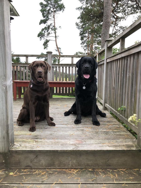 EFA02E82-6511-4609-A021-5546F7013C6C