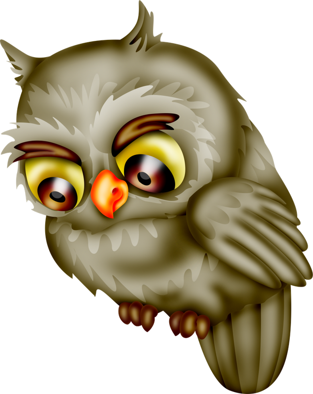 Christmas in Forest37